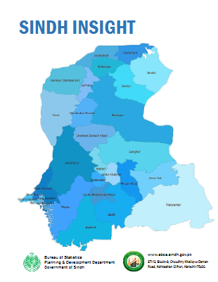 SINDH INSIGHTS