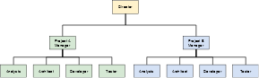 Project-Based Organizational Template