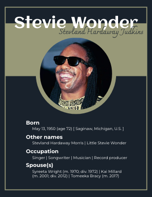 Stevie Wonder Biography