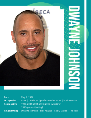 dwayne johnson 2004