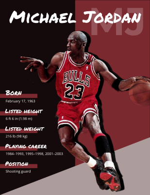 Michael Jordan Biography