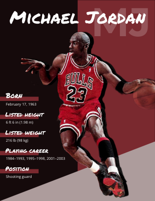 National Basketball Day Game Poster - Visual Paradigm Blog